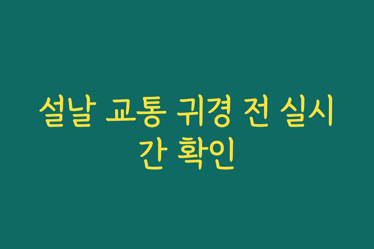 설날 교통 귀경 전 실시간 확인