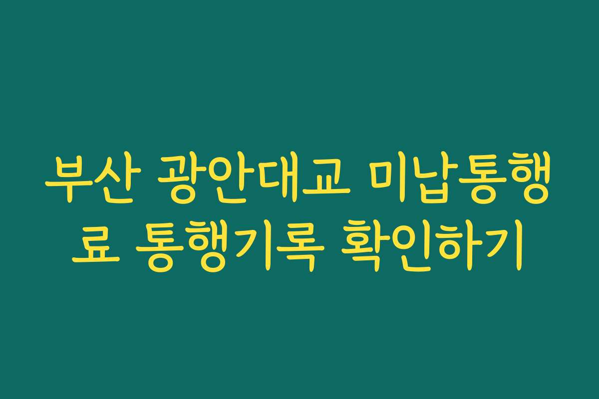 부산 광안대교 미납통행료 통행기록 확인하기 부산 광안대교 미납통행료 통행기록 확인하기