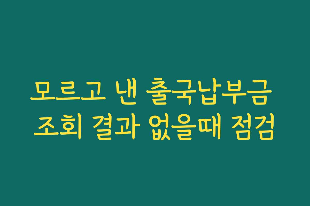 모르고 낸 출국납부금 조회 결과 없을때 점검