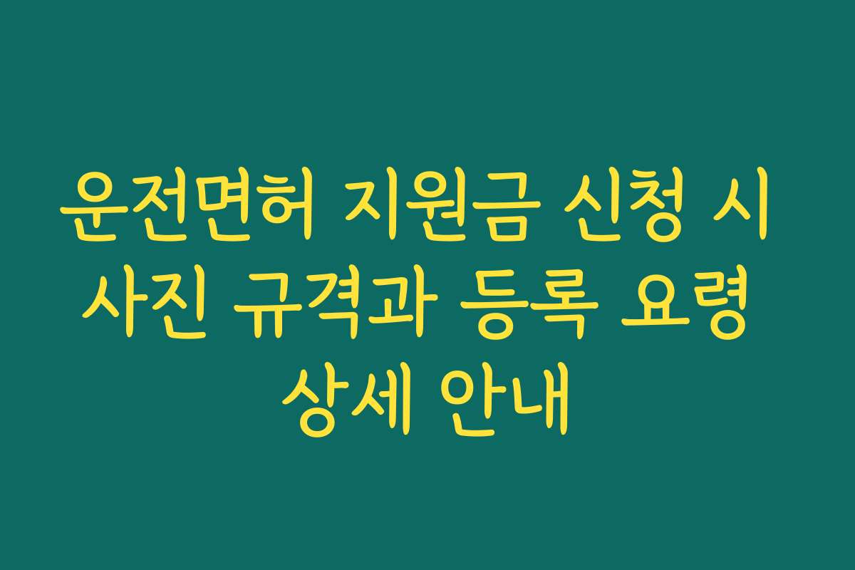 운전면허 지원금 신청 시 사진 규격과 등록 요령 상세 안내