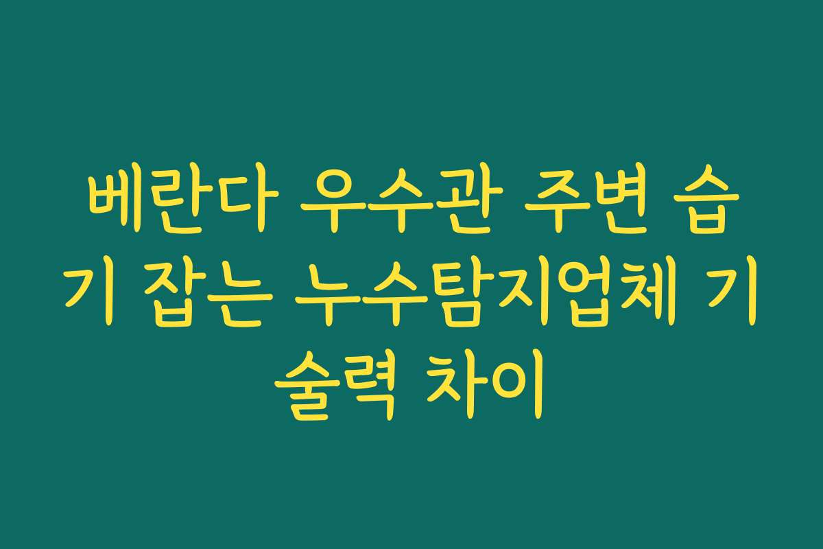 베란다 우수관 주변 습기 잡는 누수탐지업체 기술력 차이 베란다 우수관 주변 습기 잡는 누수탐지업체 기술력 차이