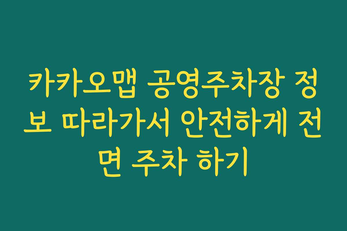 카카오맵 공영주차장 정보 따라가서 안전하게 전면 주차 하기