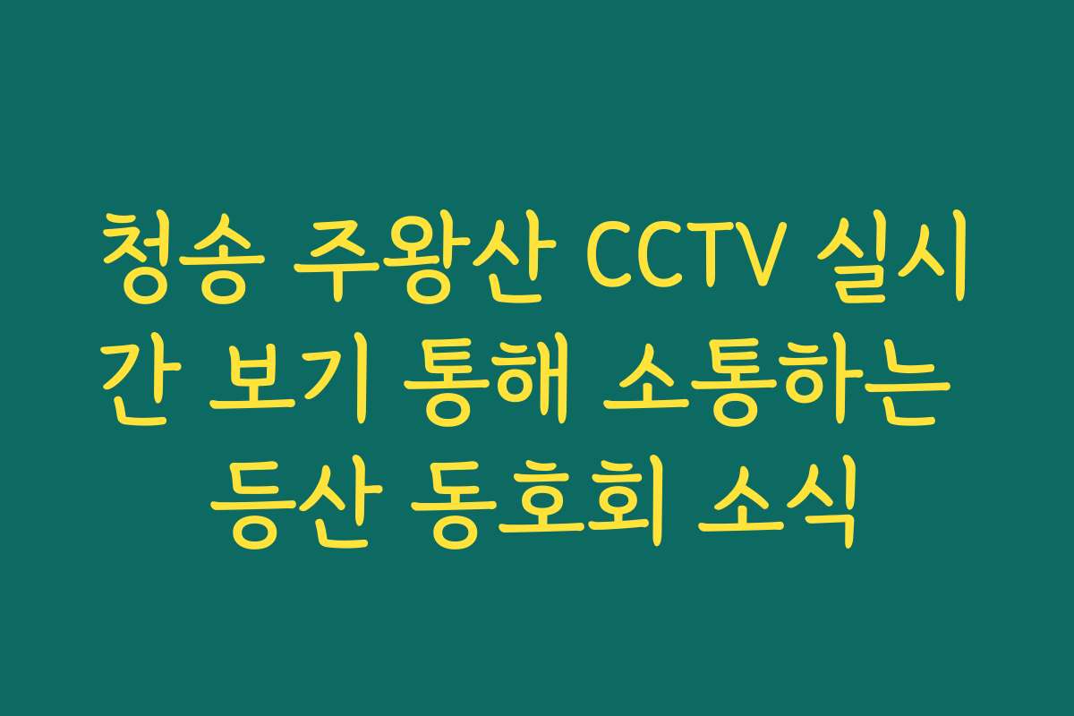 청송 주왕산 CCTV 실시간 보기 통해 소통하는 등산 동호회 소식