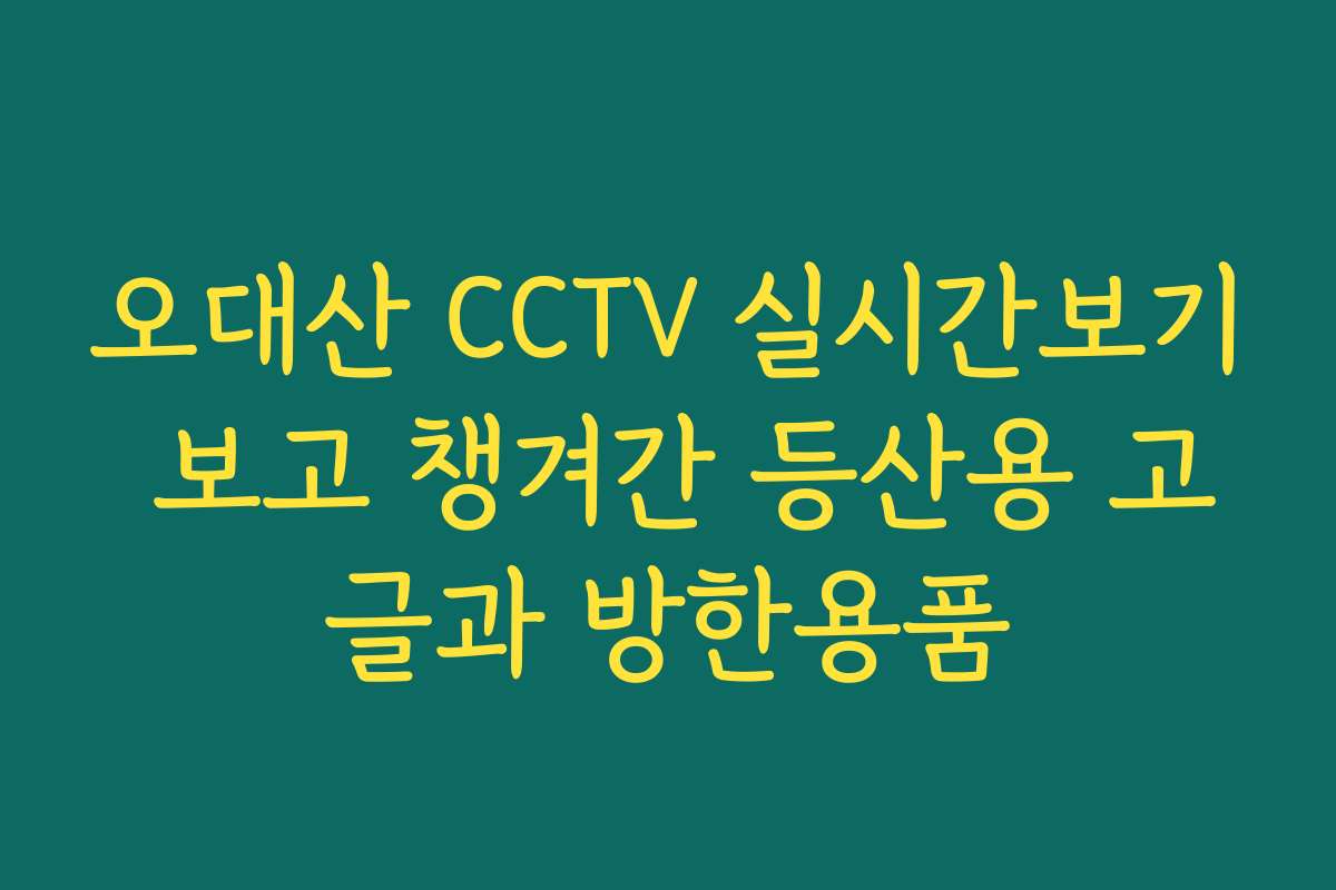 오대산 CCTV 실시간보기 보고 챙겨간 등산용 고글과 방한용품