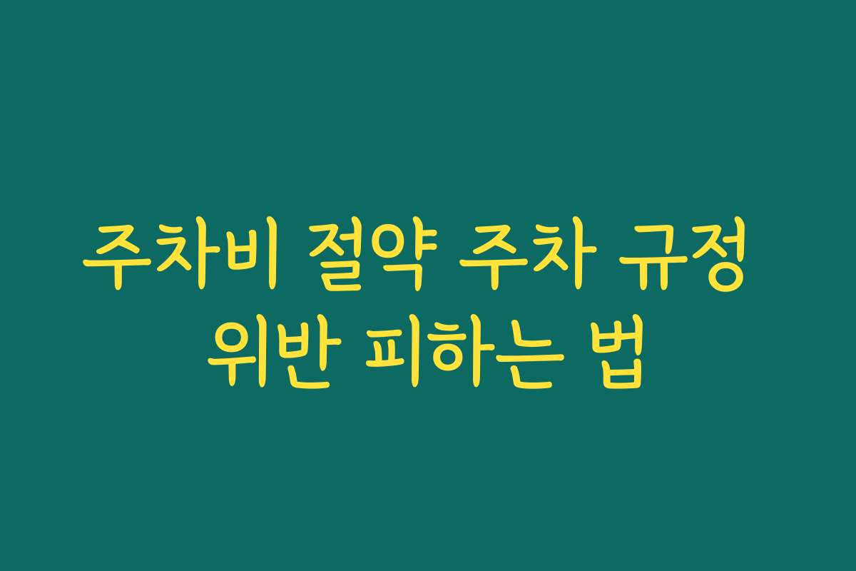 주차비 절약 주차 규정 위반 피하는 법 주차비 절약 주차 규정 위반 피하는 법