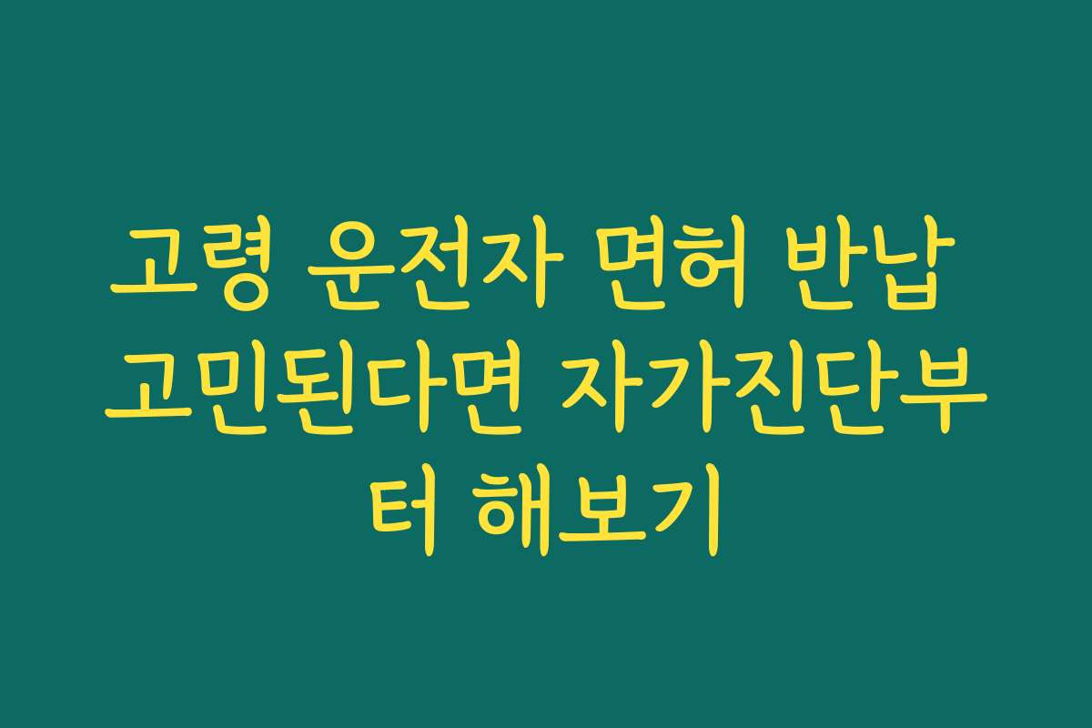 고령 운전자 면허 반납 고민된다면 자가진단부터 해보기