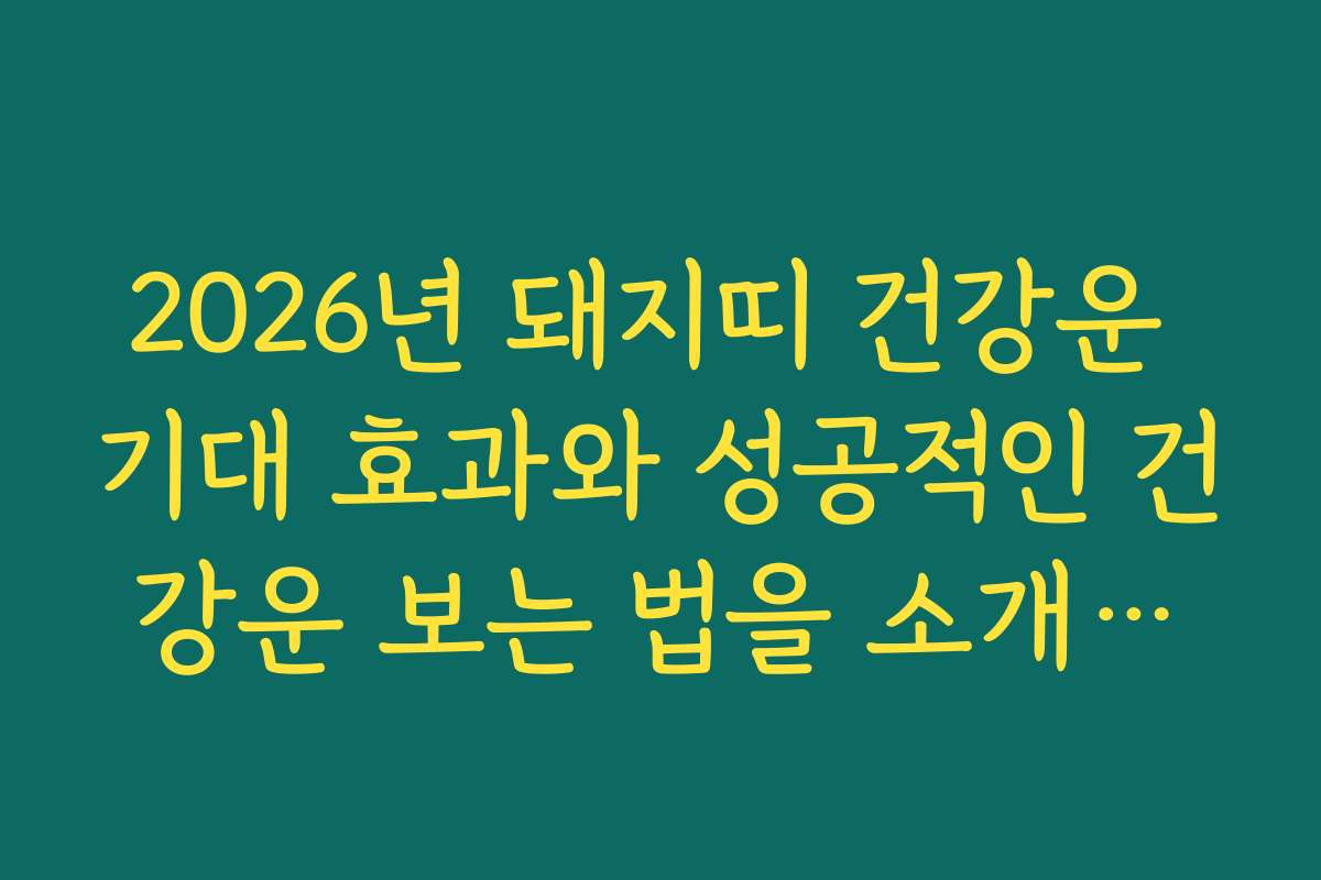 2026년 돼지띠 건강운 기대 효과와 성공적인 건강운 보는 법을 소개합니다