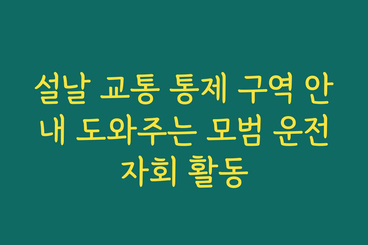 설날 교통 통제 구역 안내 도와주는 모범 운전자회 활동