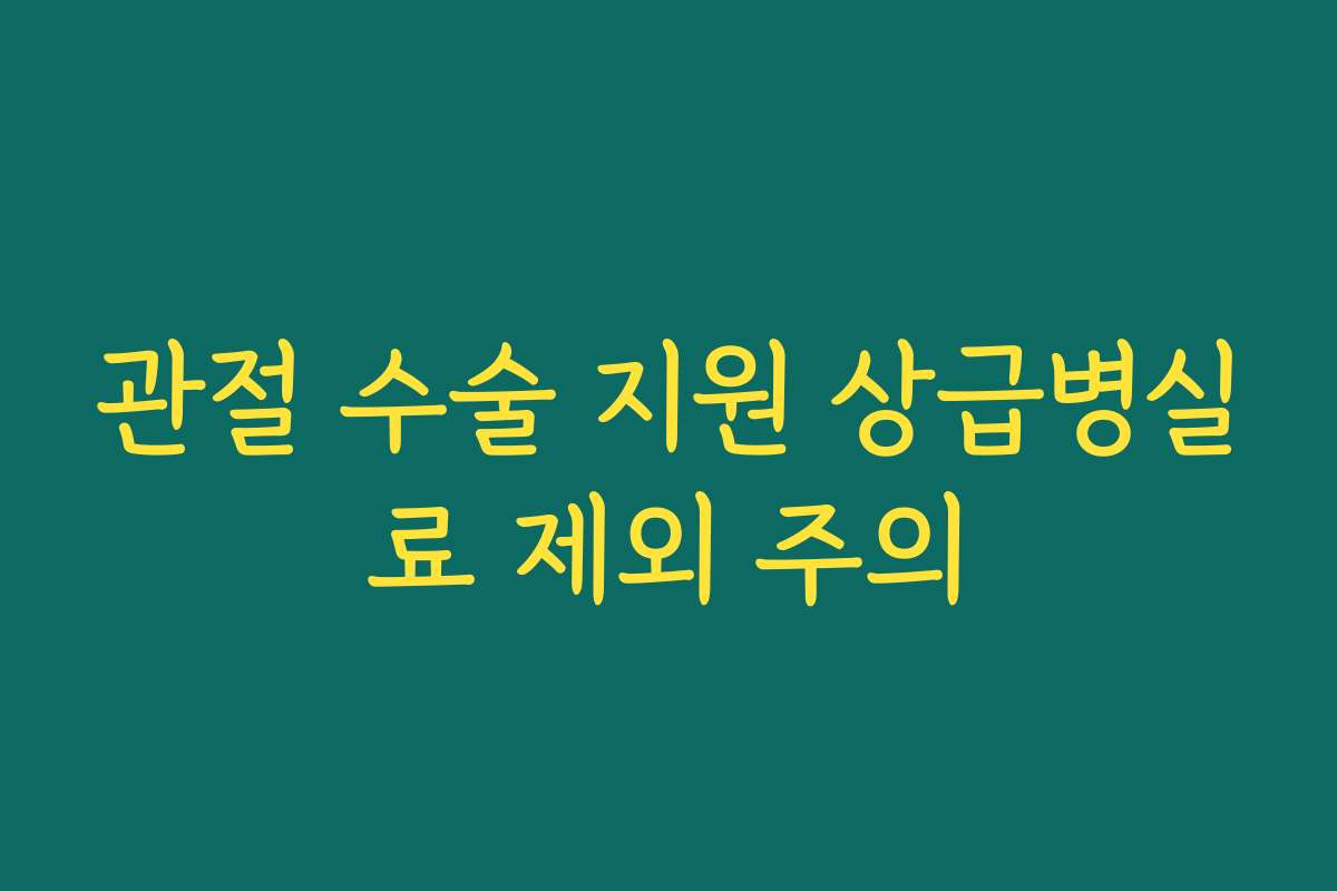 관절 수술 지원 상급병실료 제외 주의
