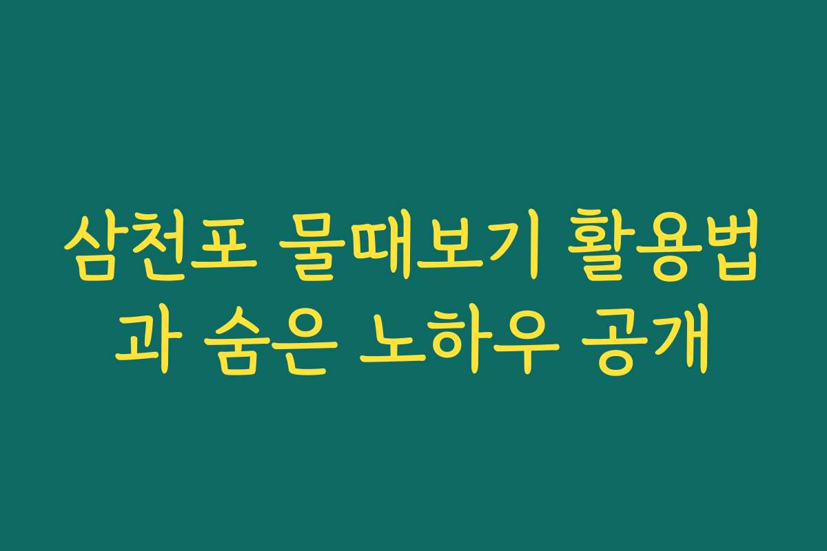 삼천포 물때보기 활용법과 숨은 노하우 공개