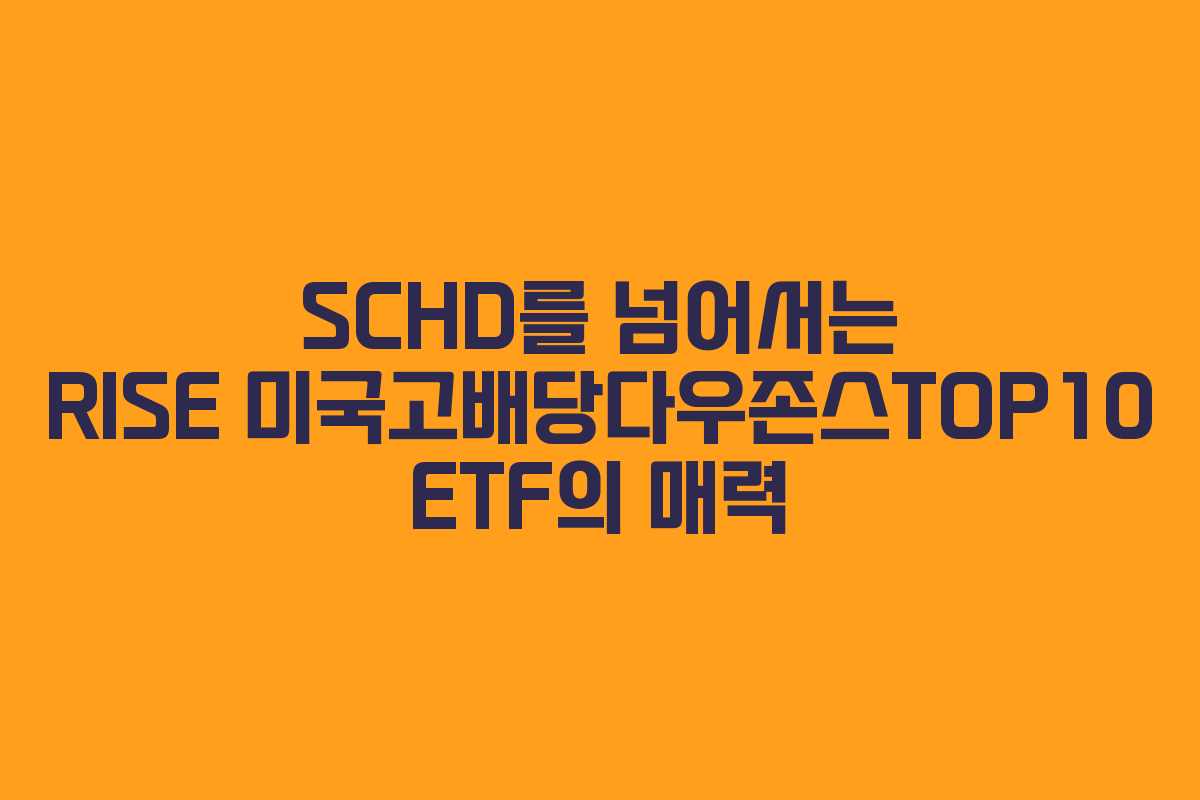 SCHD를 넘어서는 RISE 미국고배당다우존스TOP10 ETF의 매력