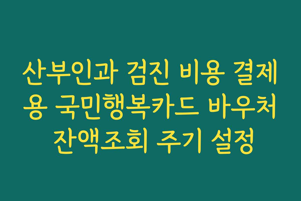 산부인과 검진 비용 결제용 국민행복카드 바우처 잔액조회 주기 설정