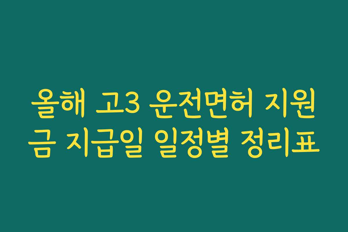 올해 고3 운전면허 지원금 지급일 일정별 정리표 올해 고3 운전면허 지원금 지급일 일정별 정리표