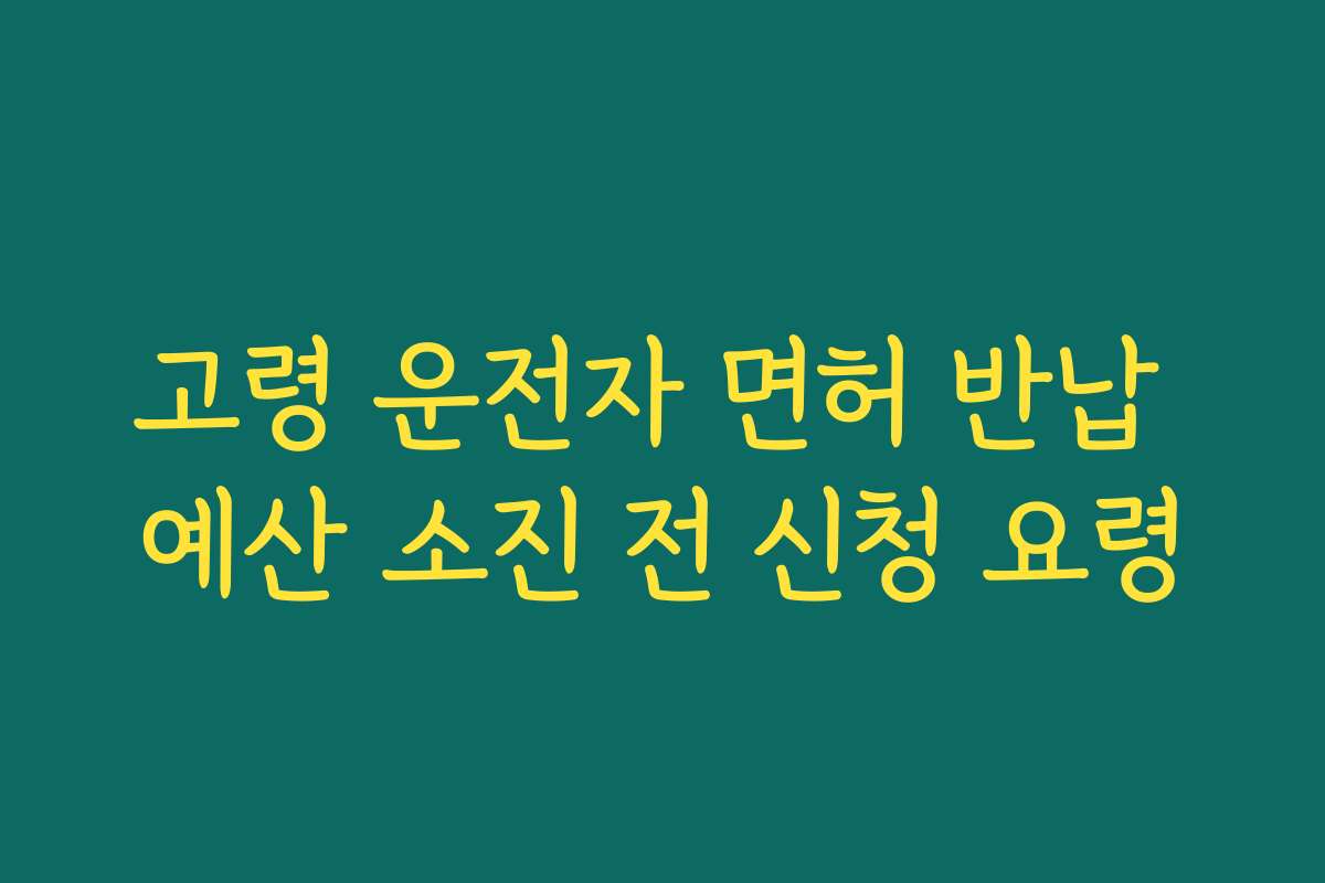 고령 운전자 면허 반납 예산 소진 전 신청 요령