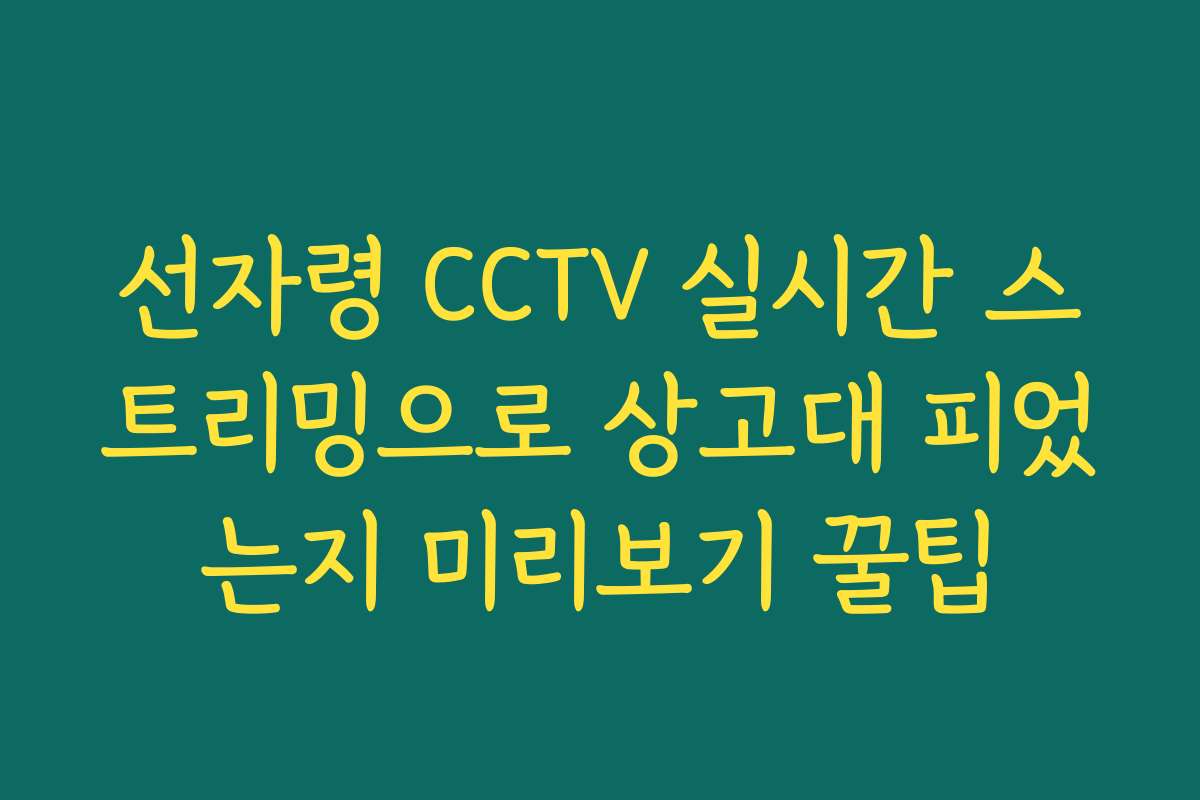 선자령 CCTV 실시간 스트리밍으로 상고대 피었는지 미리보기 꿀팁