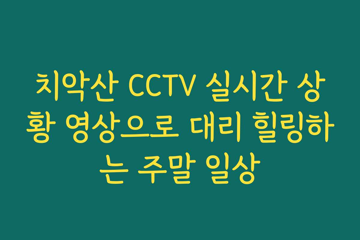 치악산 CCTV 실시간 상황 영상으로 대리 힐링하는 주말 일상