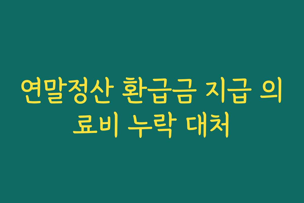 연말정산 환급금 지급 의료비 누락 대처