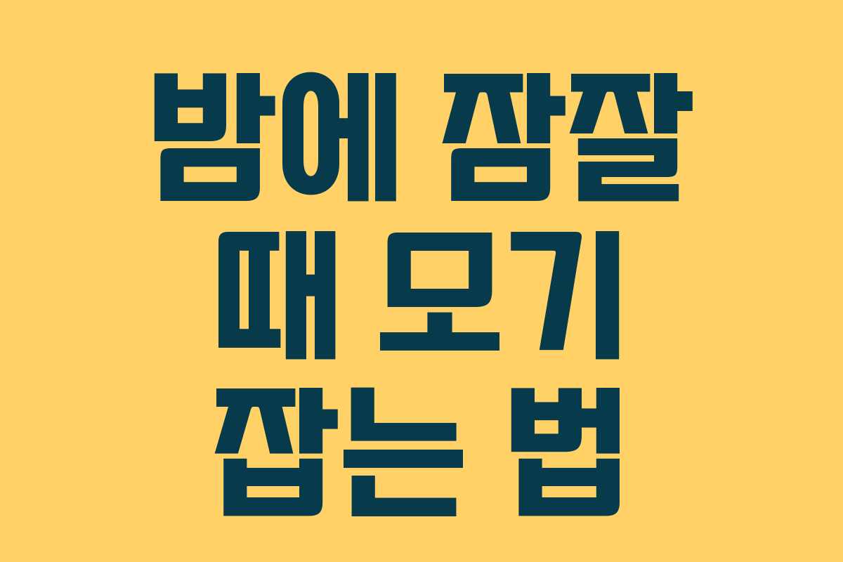 밤에 잠잘 때 모기 잡는 법