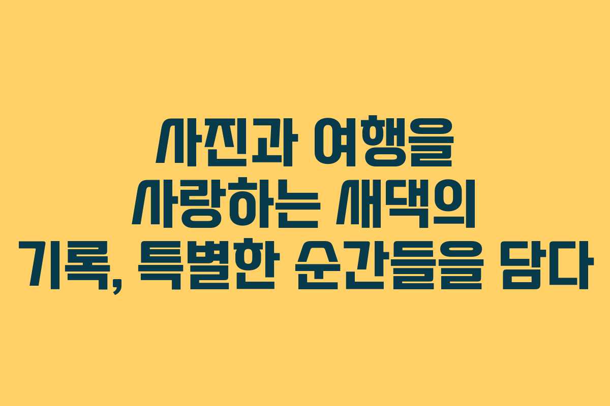 사진과 여행을 사랑하는 새댁의 기록, 특별한 순간들을 담다