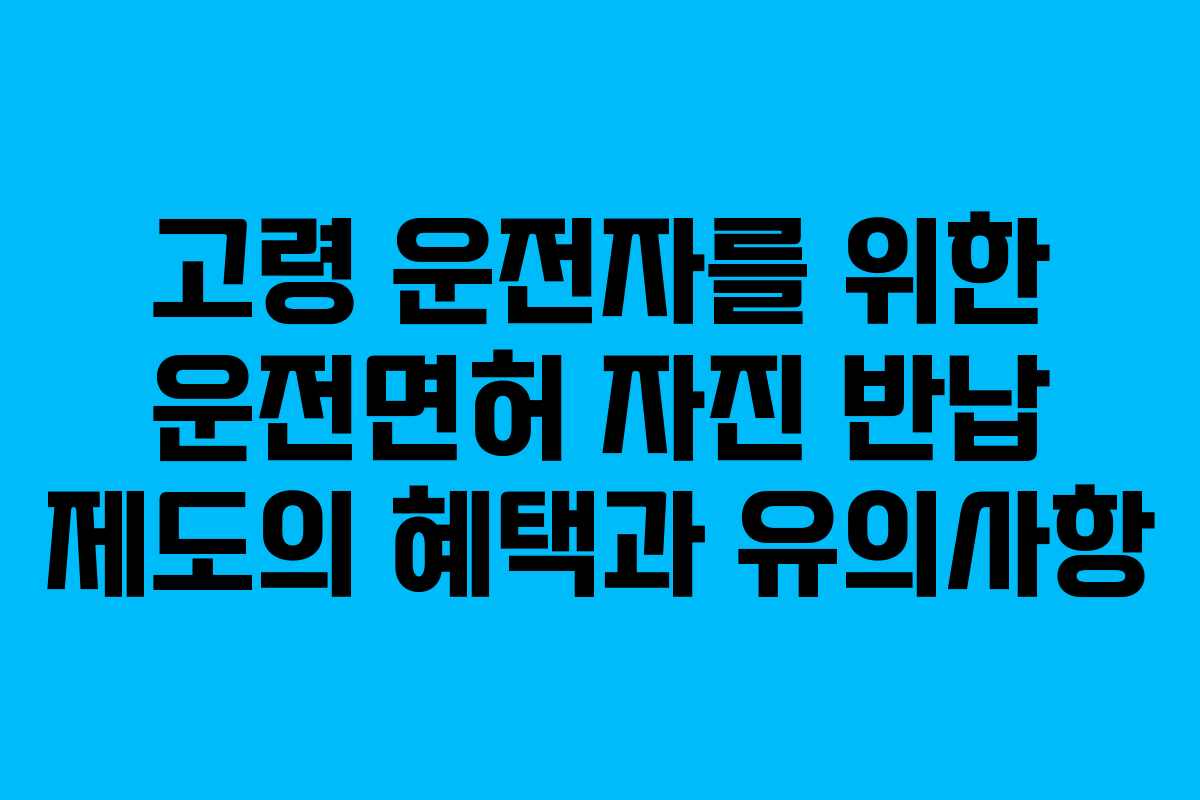 고령 운전자를 위한 운전면허 자진 반납 제도의 혜택과 유의사항