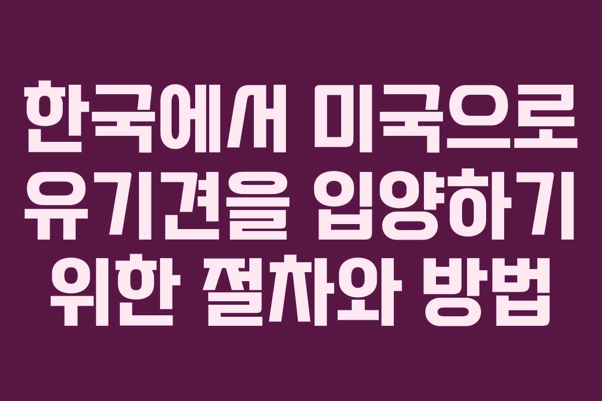 한국에서 미국으로 유기견을 입양하기 위한 절차와 방법 한국에서 미국으로 유기견을 입양하기 위한 절차와 방법