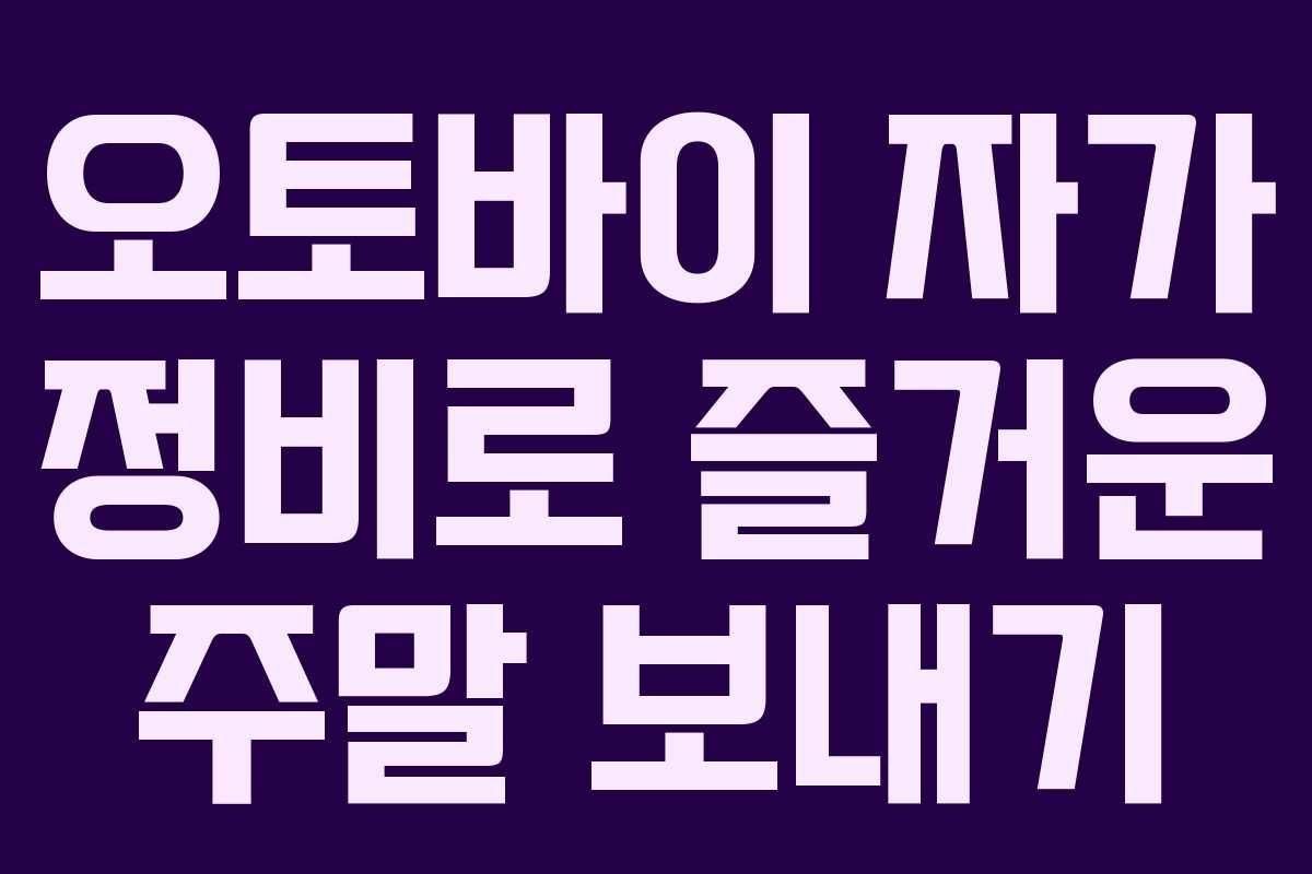 오토바이 자가 정비로 즐거운 주말 보내기 오토바이 자가 정비로 즐거운 주말 보내기