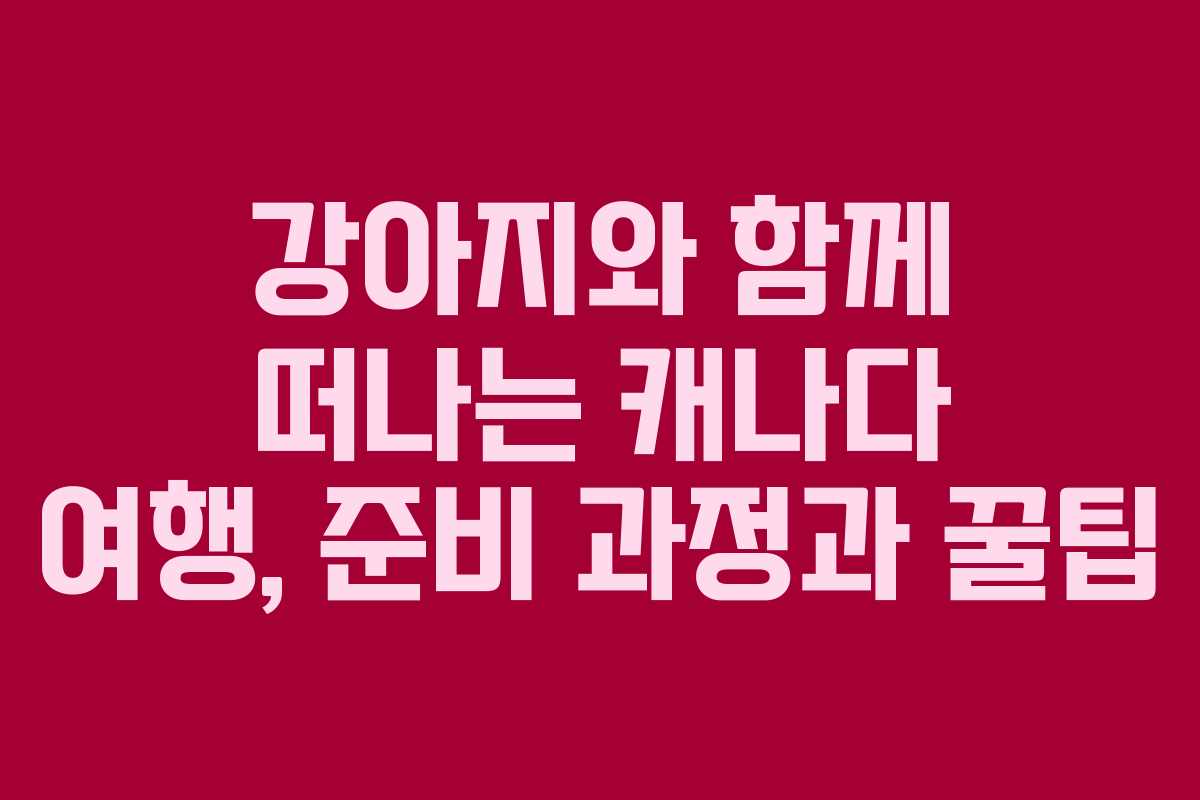 강아지와 함께 떠나는 캐나다 여행, 준비 과정과 꿀팁