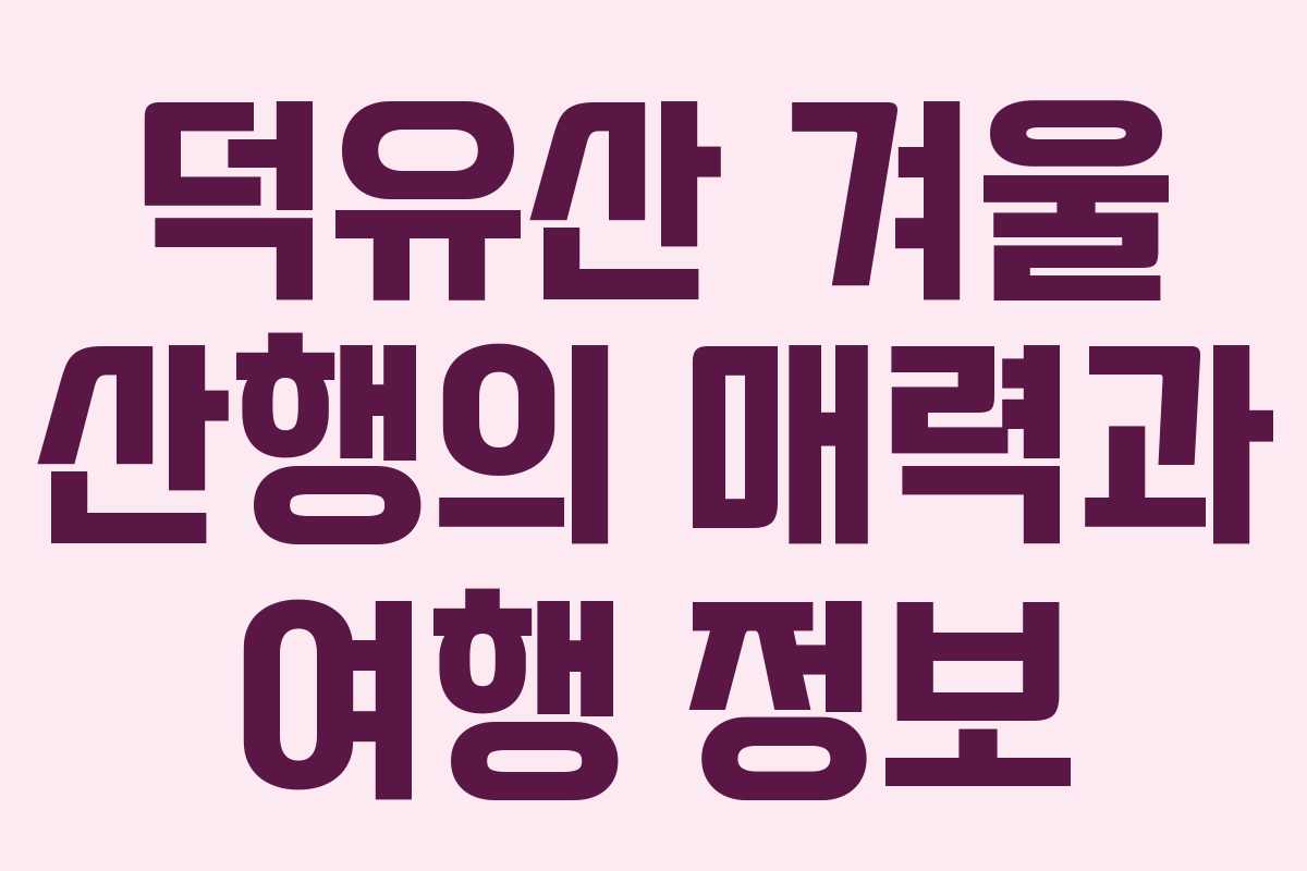 덕유산 겨울 산행의 매력과 여행 정보