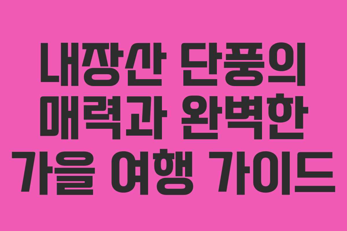 내장산 단풍의 매력과 완벽한 가을 여행 가이드