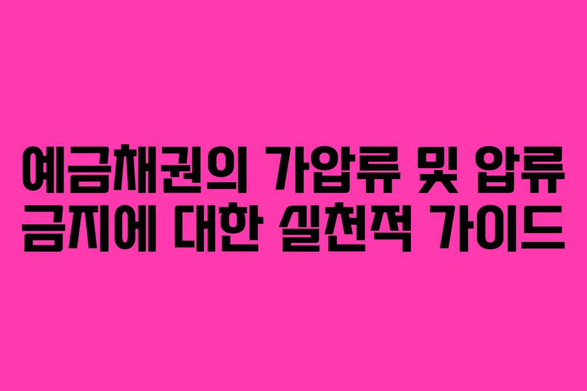 예금채권의 가압류 및 압류 금지에 대한 실천적 가이드 예금채권의 가압류 및 압류 금지에 대한 실천적 가이드