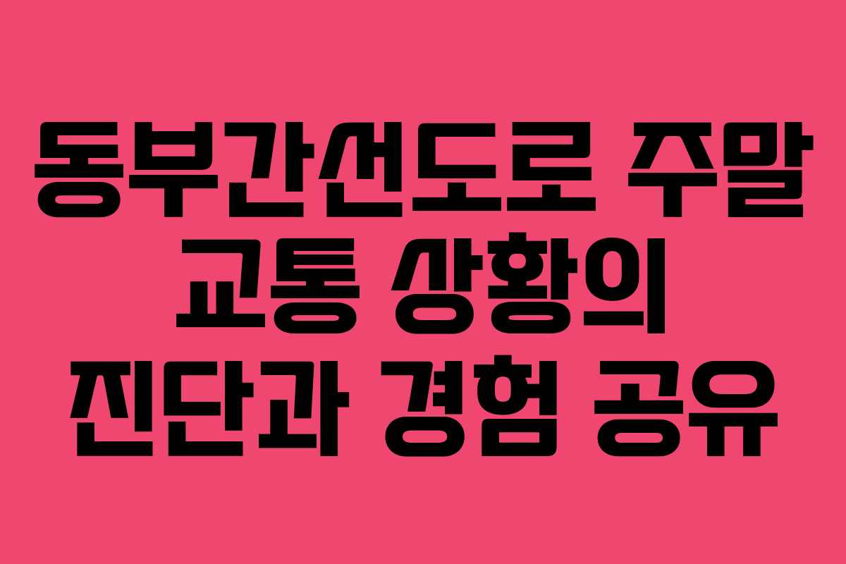 동부간선도로 주말 교통 상황의 진단과 경험 공유 동부간선도로 주말 교통 상황의 진단과 경험 공유