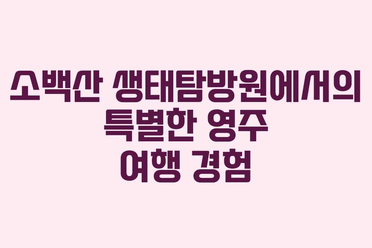 소백산 생태탐방원에서의 특별한 영주 여행 경험