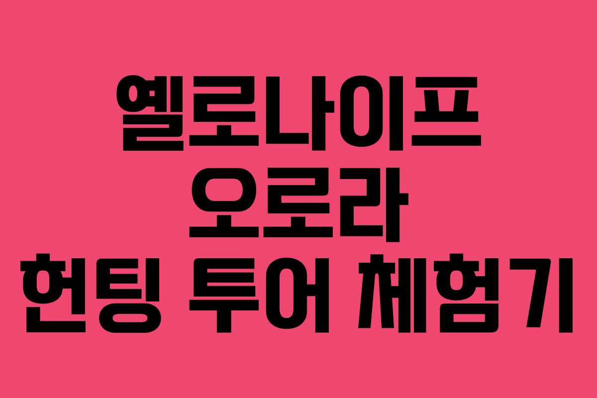 옐로나이프 오로라 헌팅 투어 체험기 옐로나이프 오로라 헌팅 투어 체험기