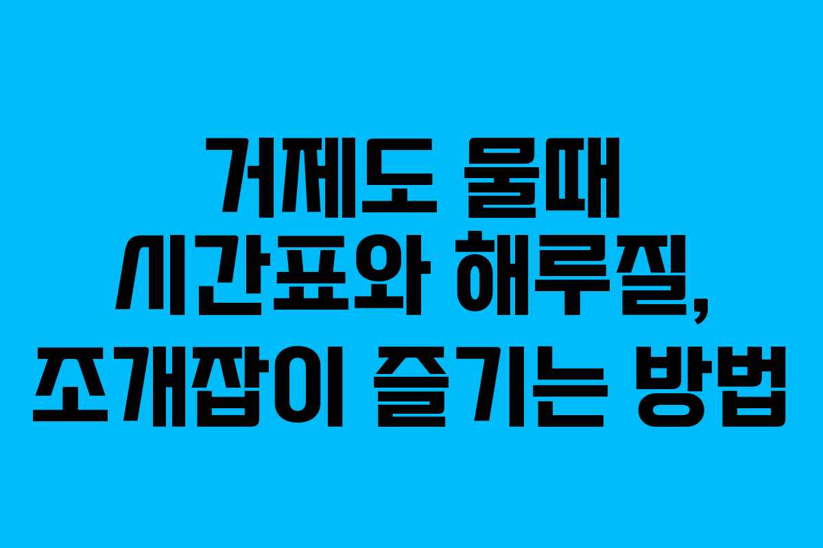 거제도 물때 시간표와 해루질, 조개잡이 즐기는 방법