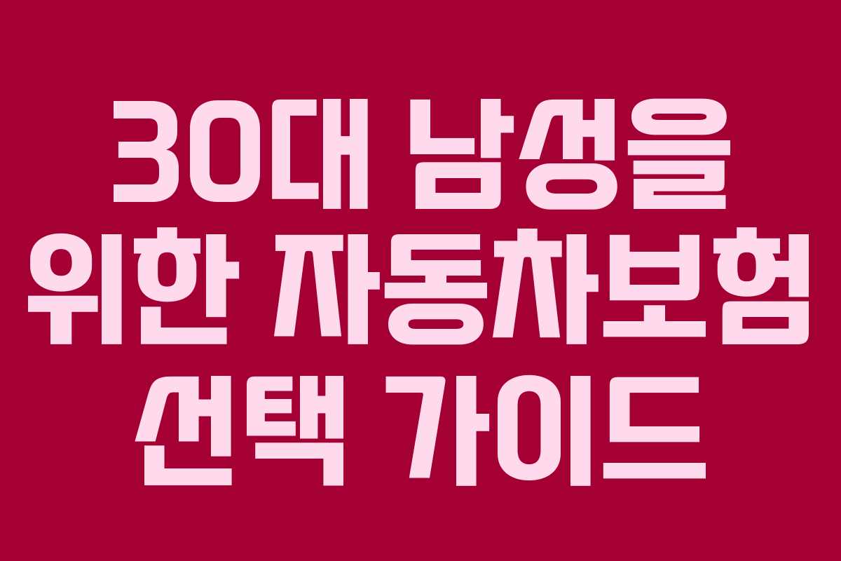 30대 남성을 위한 자동차보험 선택 가이드 30대 남성을 위한 자동차보험 선택 가이드