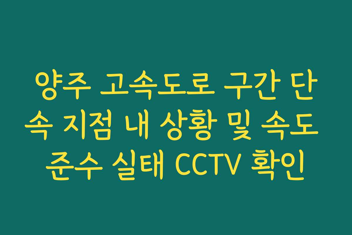 양주 고속도로 구간 단속 지점 내 상황 및 속도 준수 실태 CCTV 확인