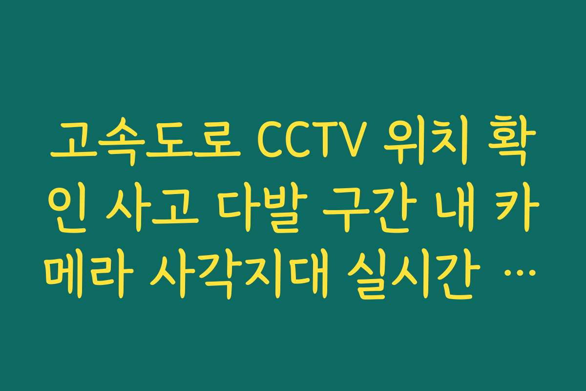 고속도로 CCTV 위치 확인 사고 다발 구간 내 카메라 사각지대 실시간 CCTV 확인