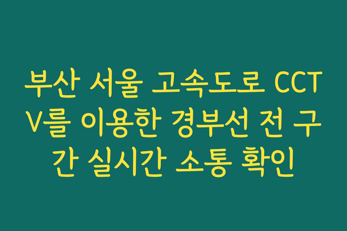 부산 서울 고속도로 CCTV를 이용한 경부선 전 구간 실시간 소통 확인 부산 서울 고속도로 CCTV를 이용한 경부선 전 구간 실시간 소통 확인