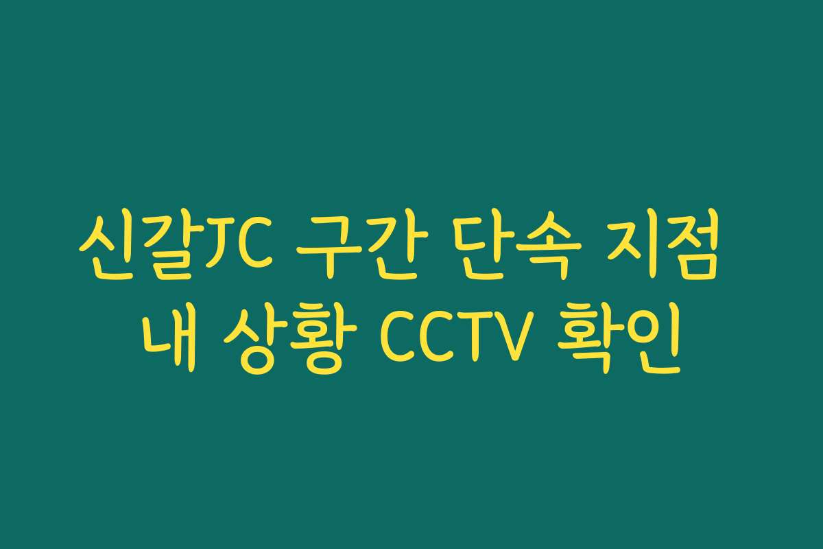 신갈JC 구간 단속 지점 내 상황 CCTV 확인