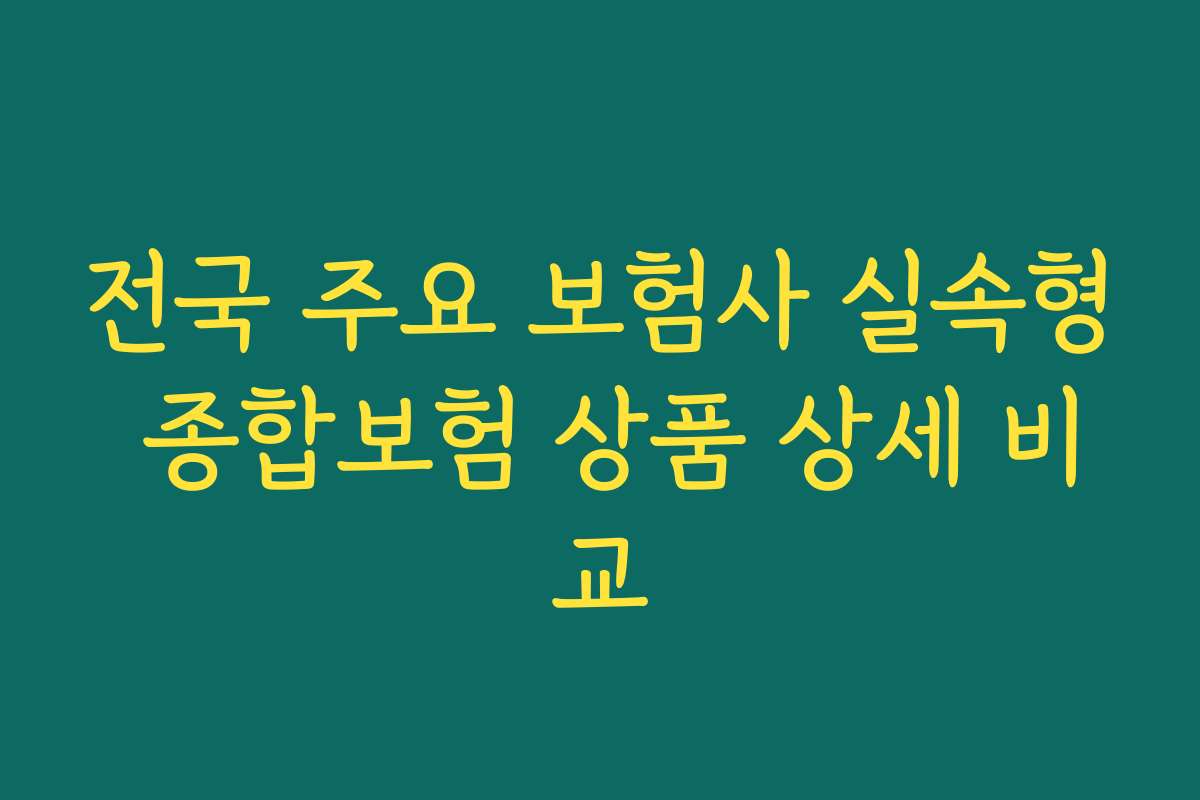 전국 주요 보험사 실속형 종합보험 상품 상세 비교