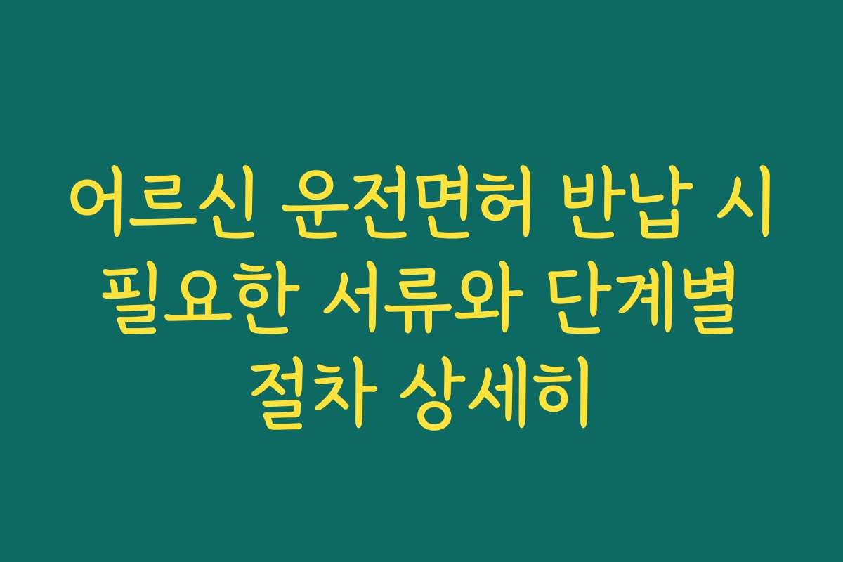 어르신 운전면허 반납 시 필요한 서류와 단계별 절차 상세히