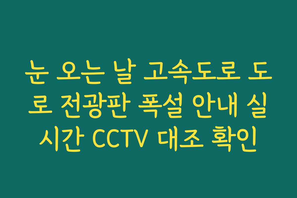 눈 오는 날 고속도로 도로 전광판 폭설 안내 실시간 CCTV 대조 확인