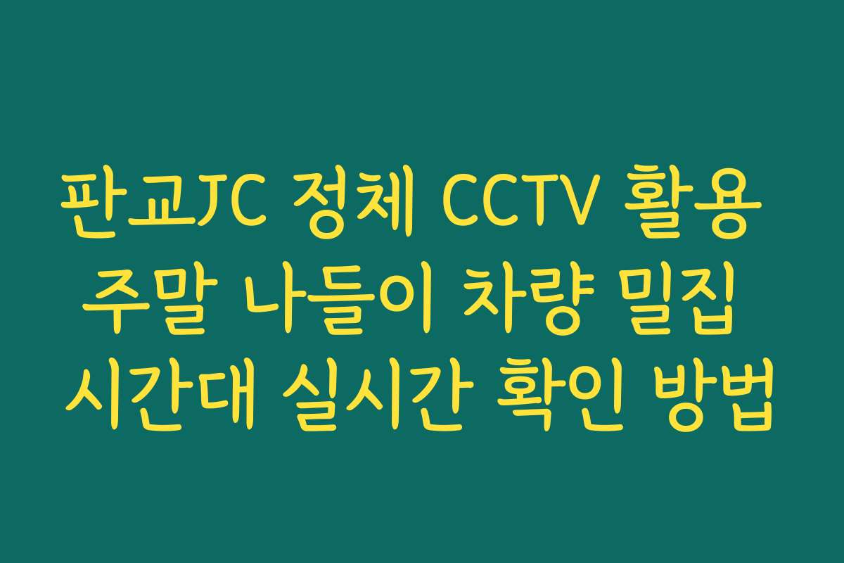 판교JC 정체 CCTV 활용 주말 나들이 차량 밀집 시간대 실시간 확인 방법