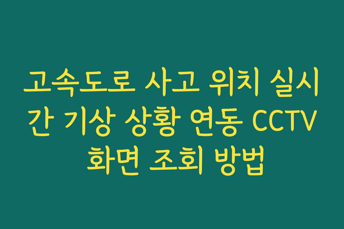 고속도로 사고 위치 실시간 기상 상황 연동 CCTV 화면 조회 방법
