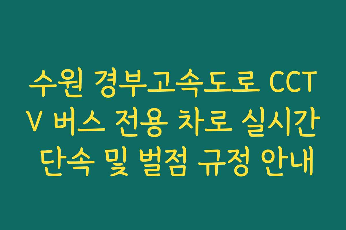 수원 경부고속도로 CCTV 버스 전용 차로 실시간 단속 및 벌점 규정 안내