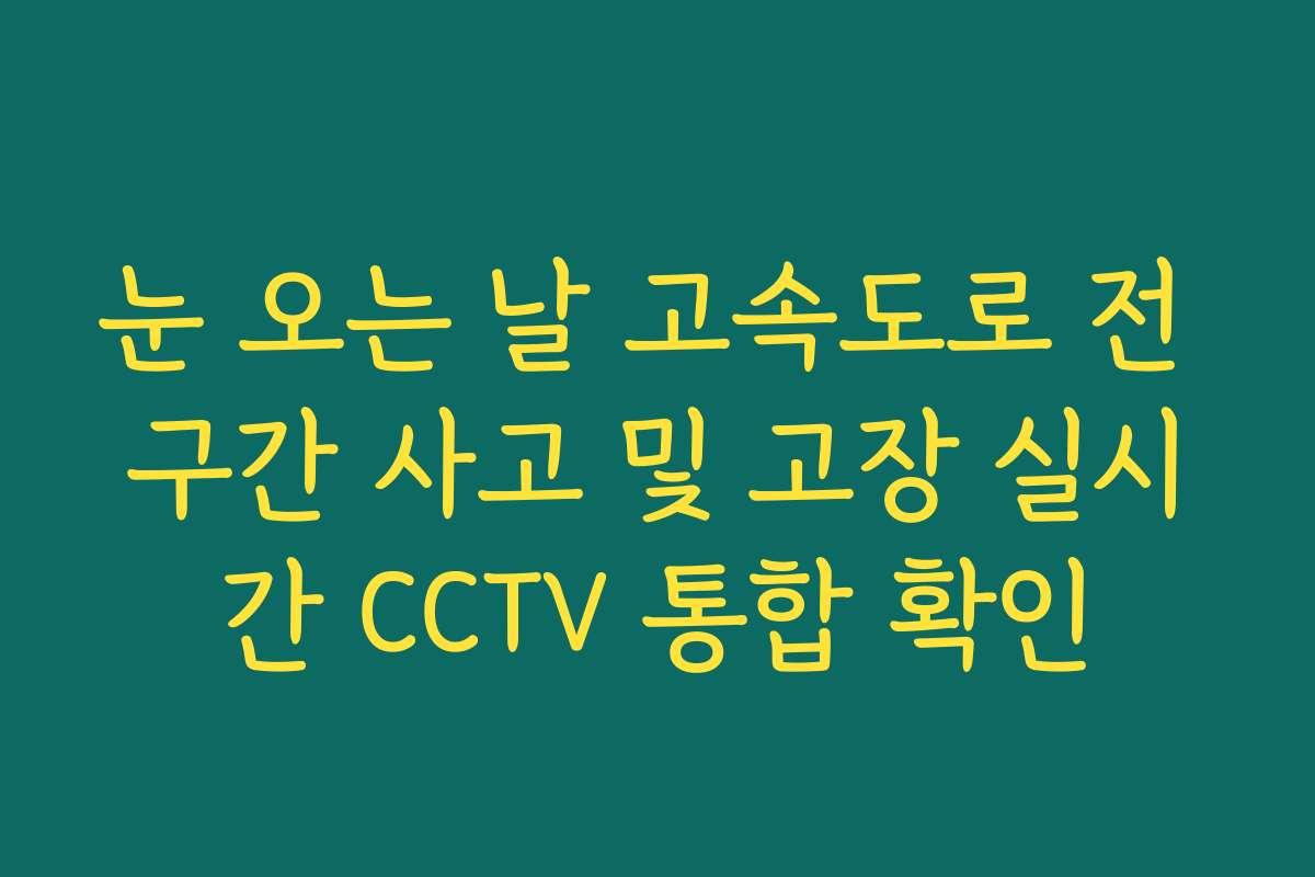 눈 오는 날 고속도로 전 구간 사고 및 고장 실시간 CCTV 통합 확인