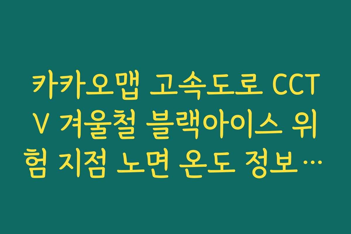 카카오맵 고속도로 CCTV 겨울철 블랙아이스 위험 지점 노면 온도 정보 연동 안내