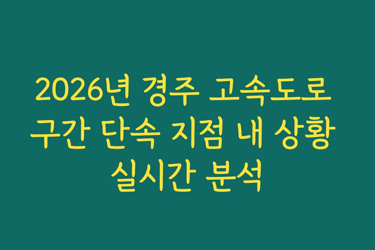 2026년 경주 고속도로 구간 단속 지점 내 상황 실시간 분석 2026년 경주 고속도로 구간 단속 지점 내 상황 실시간 분석