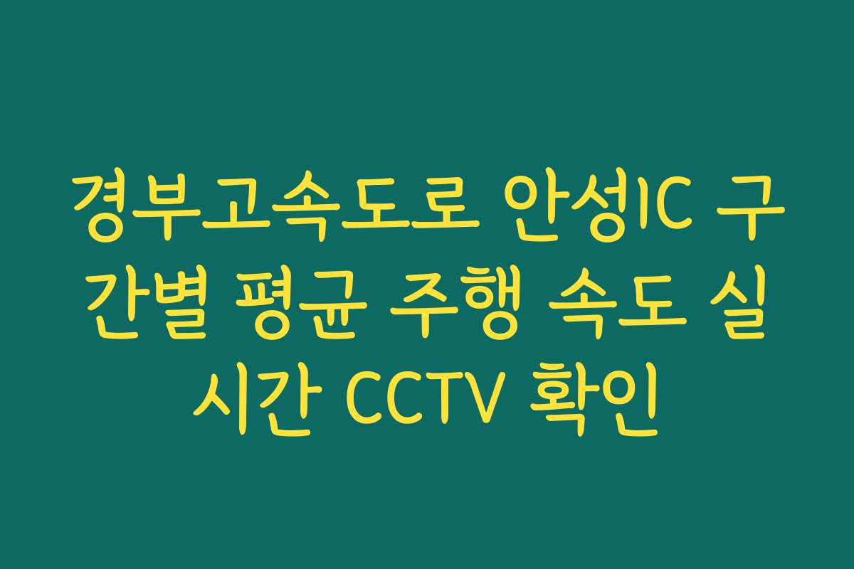 경부고속도로 안성IC 구간별 평균 주행 속도 실시간 CCTV 확인 경부고속도로 안성IC 구간별 평균 주행 속도 실시간 CCTV 확인