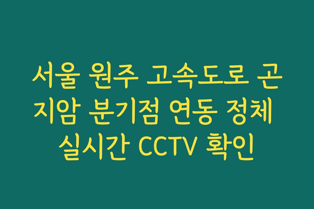 서울 원주 고속도로 곤지암 분기점 연동 정체 실시간 CCTV 확인